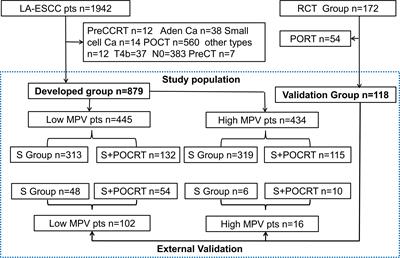 Prognostic significance and postoperative chemoradiotherapy guiding value of mean platelet volume for locally advanced esophageal squamous cell carcinoma patients